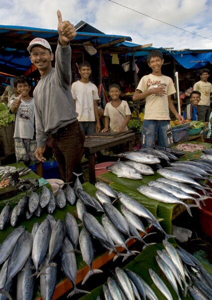 Ambon Fish Market